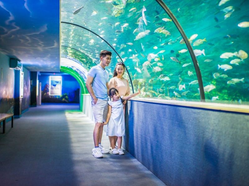 2 VinKE Vinpearl Aquarium