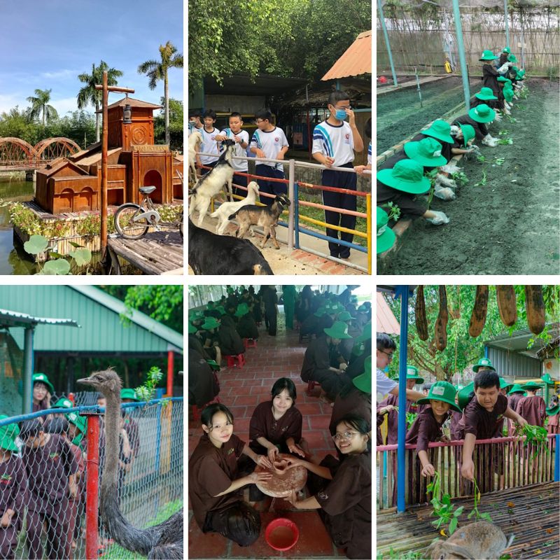 Khu sinh thai giao duc – VE QUE
