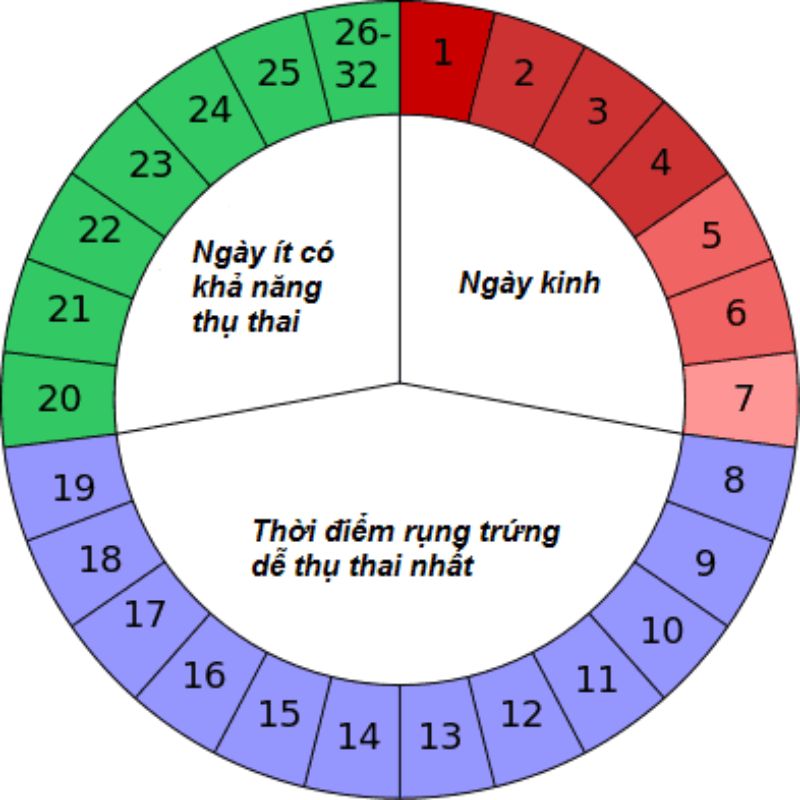 Cách Sinh Con Gái Cho Những Bố Mẹ Thích Công Chúa Nhỏ 8 thoi ky rung trung