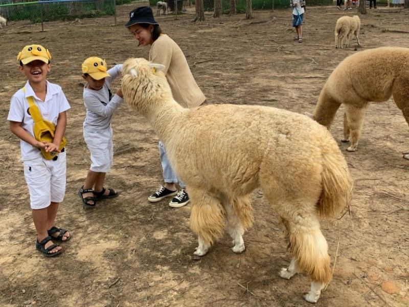 tiêu chí để chọn khu vui chơi cho bé