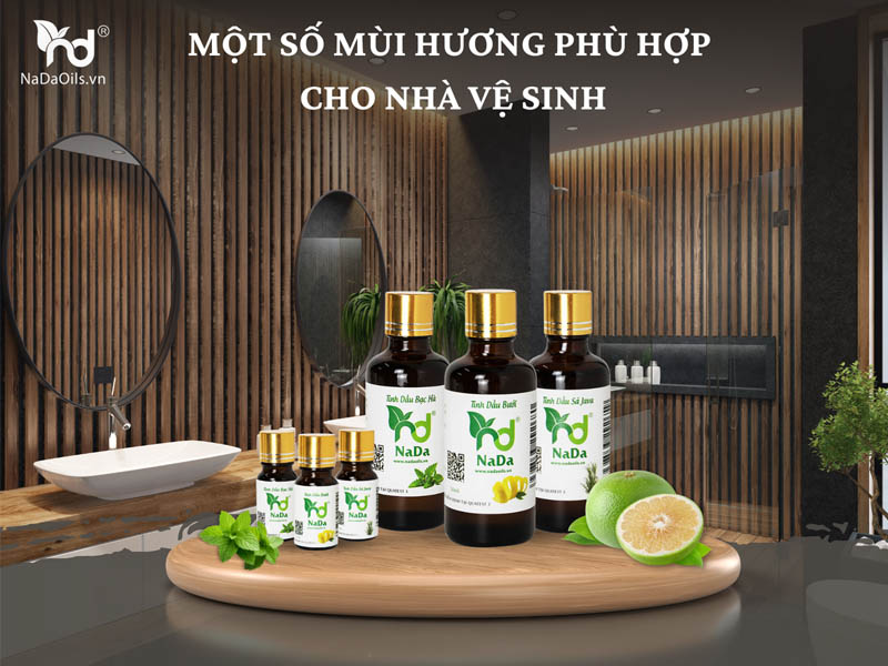 giai-phap-khu-mui-nha-ve-sinh-6.jpg 