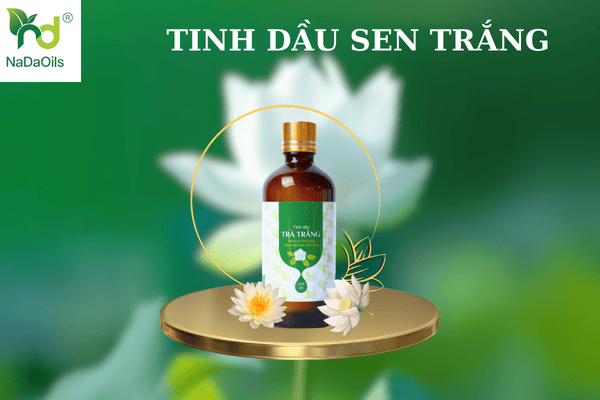 Them-tieu-de-phu-21.png 