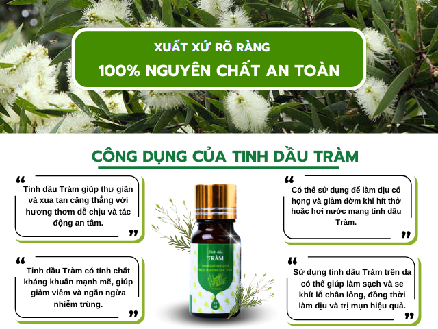 công dụng Tinh dầu Tràm Nguyên Chất