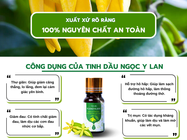 Tinh dầu Ngọc Lan Tây