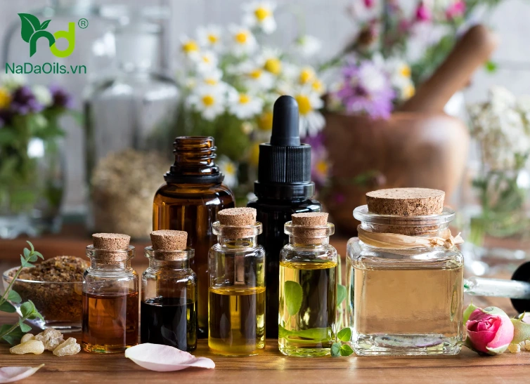 Cách Làm Tinh Dầu Tràm tại nhà