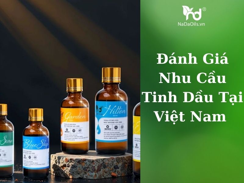 danh-gia-thi-truong-tinh-dau