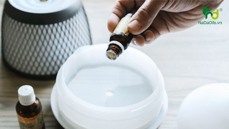 các loại tinh dầu tốt cho sức khỏe