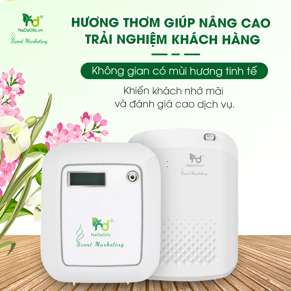5 tinh dầu kháng khuẩn mạnh mẽ 