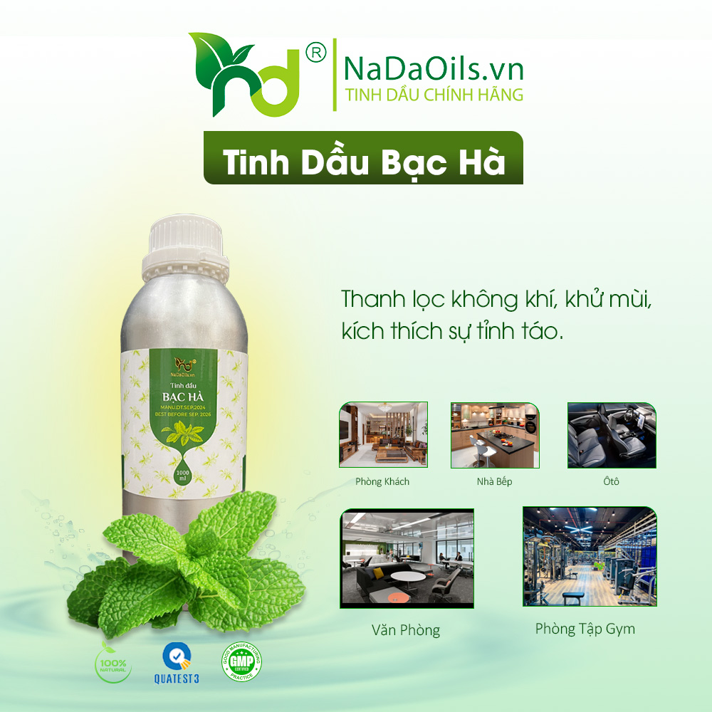 9 Loại tinh dầu tốt cho hệ hô hấp
