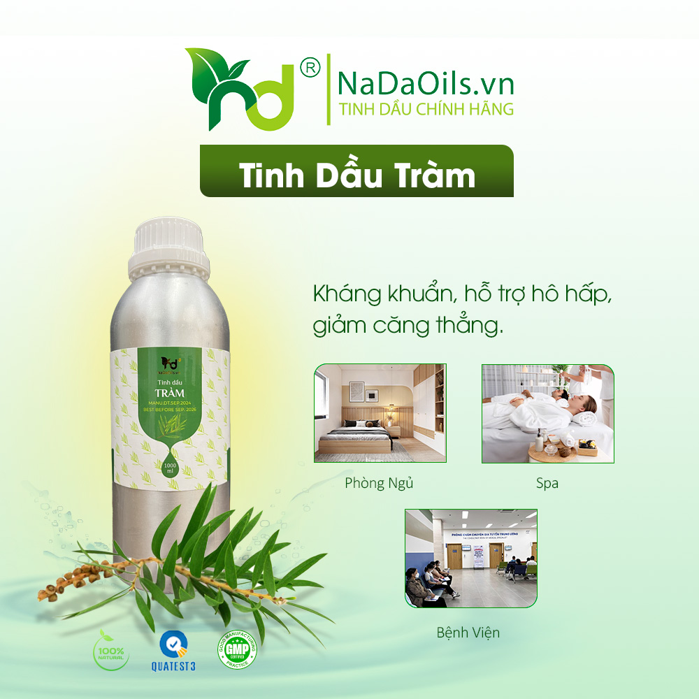 9 Loại tinh dầu tốt cho hệ hô hấp được chuyên gia khuyên dùng
