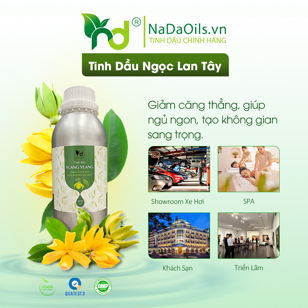 Mua Tinh Dầu Spa Ở Nha Trang