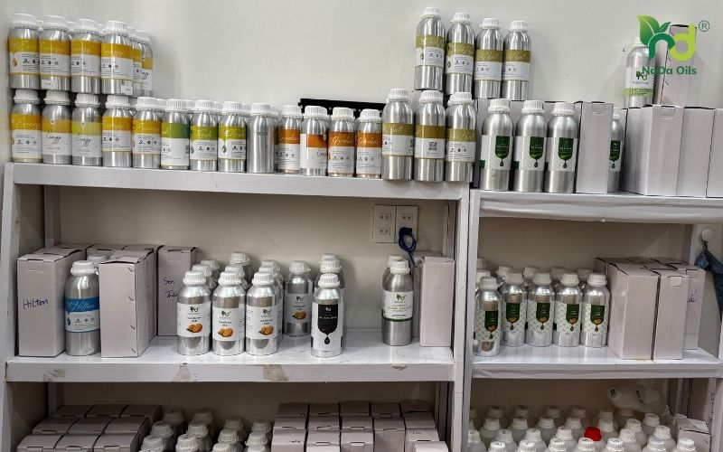 Mua Tinh Dầu Spa Ở Đà Lạt