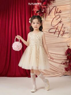 Váy Bé Gái Dự Tiệc Kim Sa Lấp Lánh 12 621855729 1273651704874245 328675985894508685 n