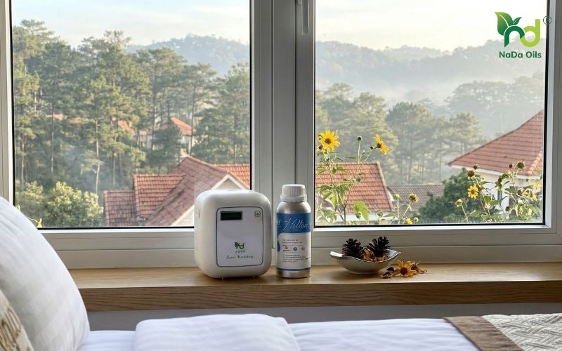 Mua tinh dầu khách sạn tại Đà Lạt 
